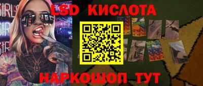 крисы Кунгур
