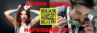 крисы Кунгур