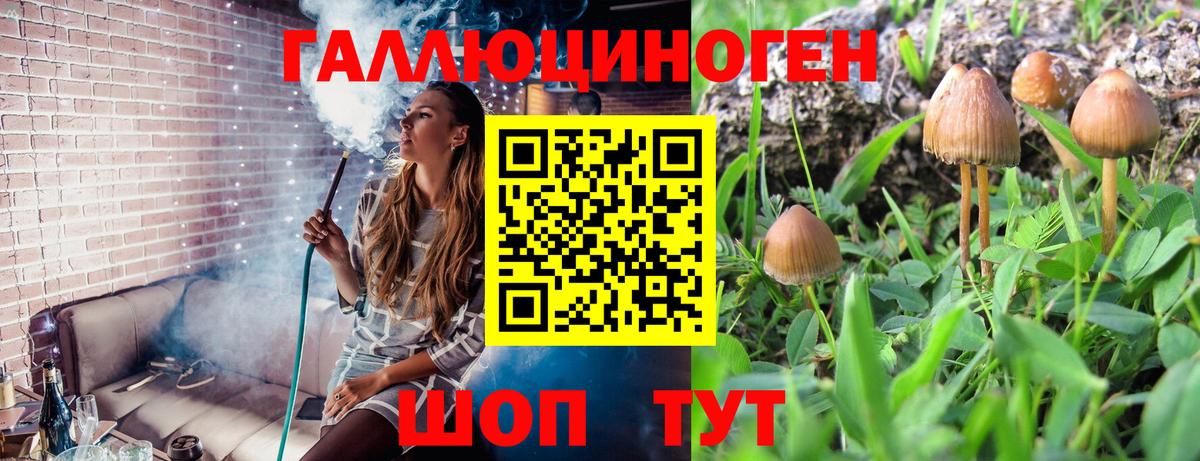 ГАШ  COCAIN  Альфа ПВП СК   ГАШИШ  Курганинск  Каннабис  Мефедрон   Вход с VPN 