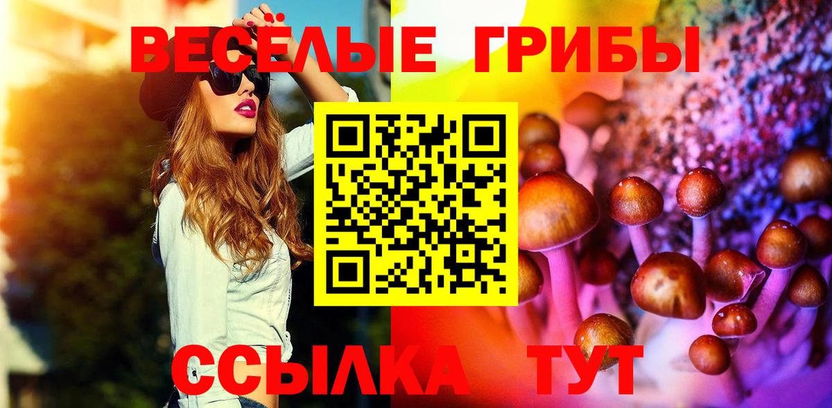 Псилоцибиновые грибы ЛСД  Вход с VPN  Курганинск 